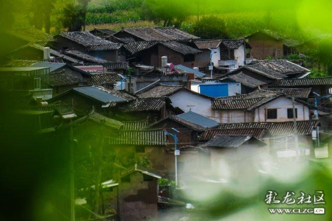 秘密基地找不同